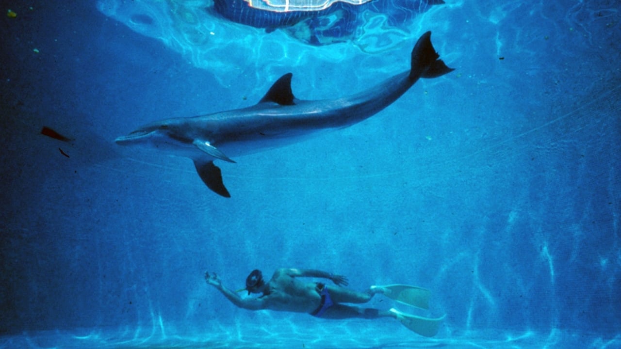 The Big Blue (1988) movie backdrop