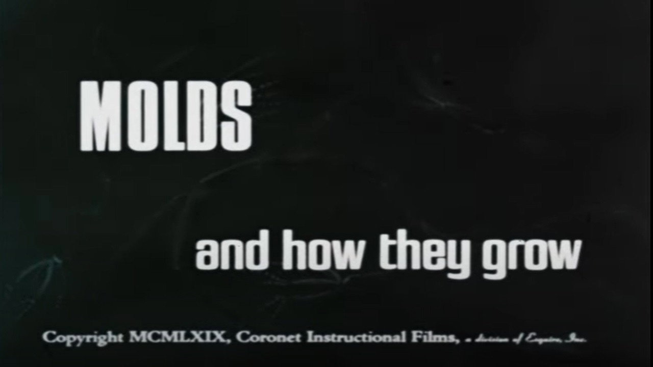 Molds and How They Grow (1969) movie backdrop