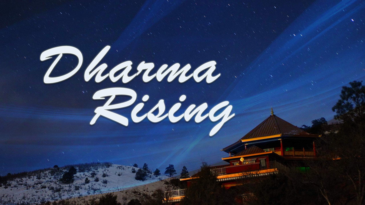 Dharma Rising (2011) movie backdrop