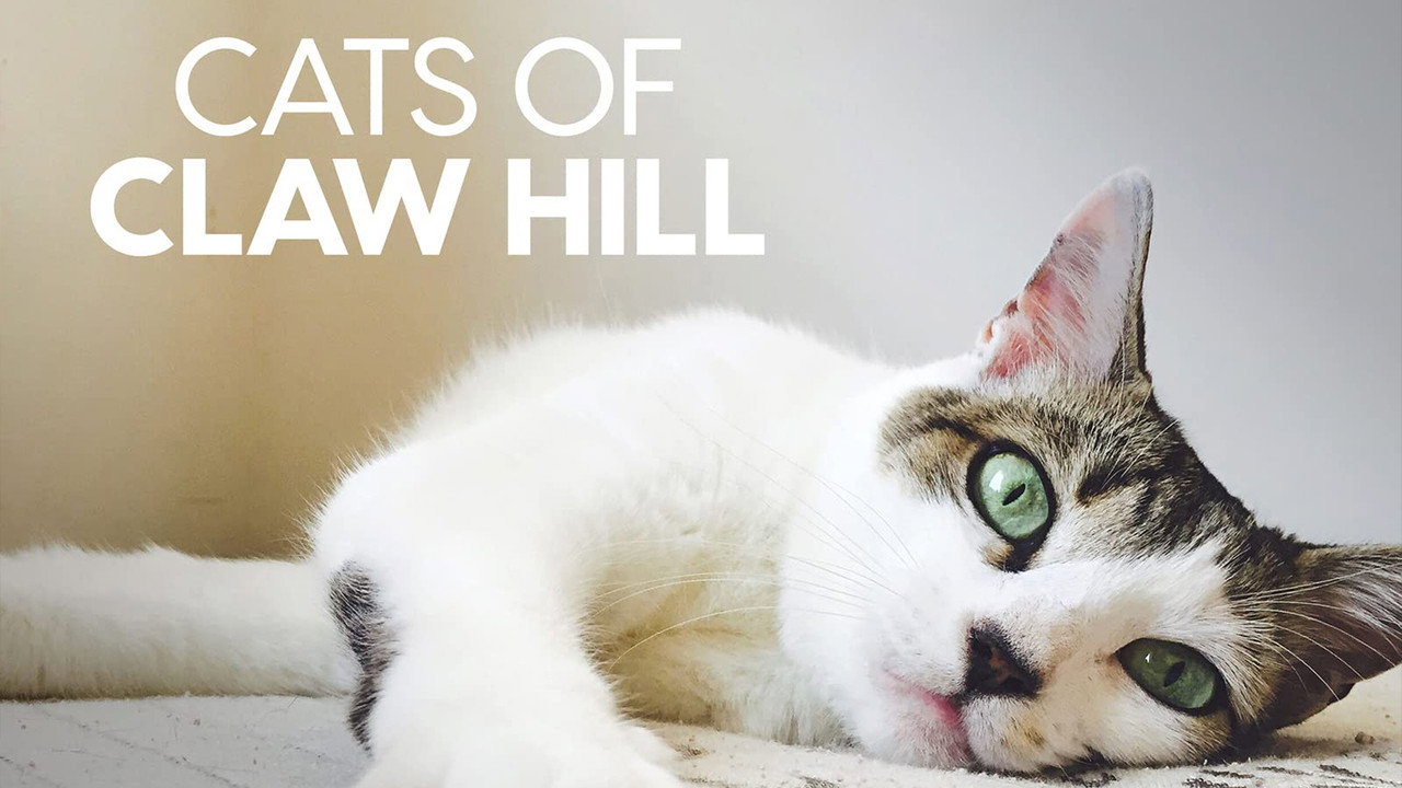 Cats of Claw Hill (2010) TV show backdrop