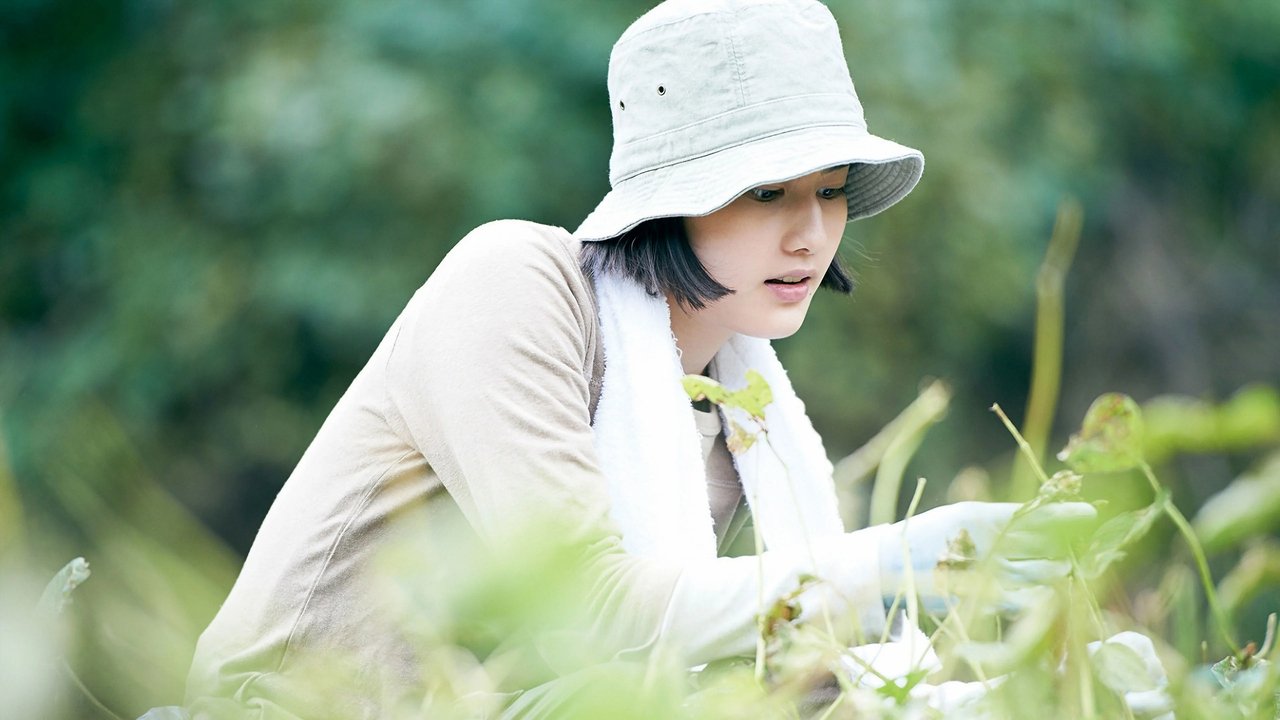 Little Forest Summer Autumn (2014) movie backdrop