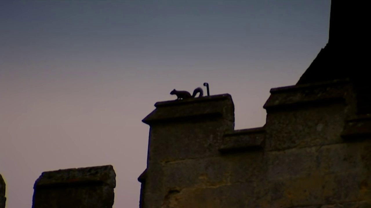 Crisis at the Castle (2007) TV show backdrop