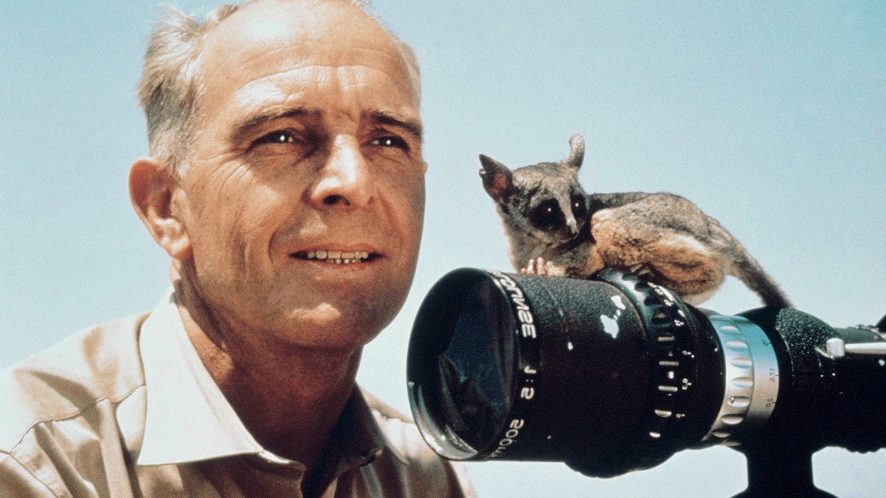 Serengeti Shall Not Die (1959) movie backdrop