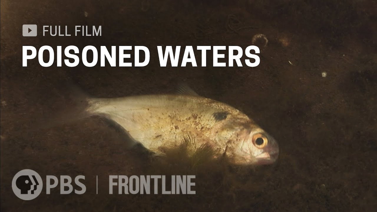 Poisoned Waters (2009) movie backdrop