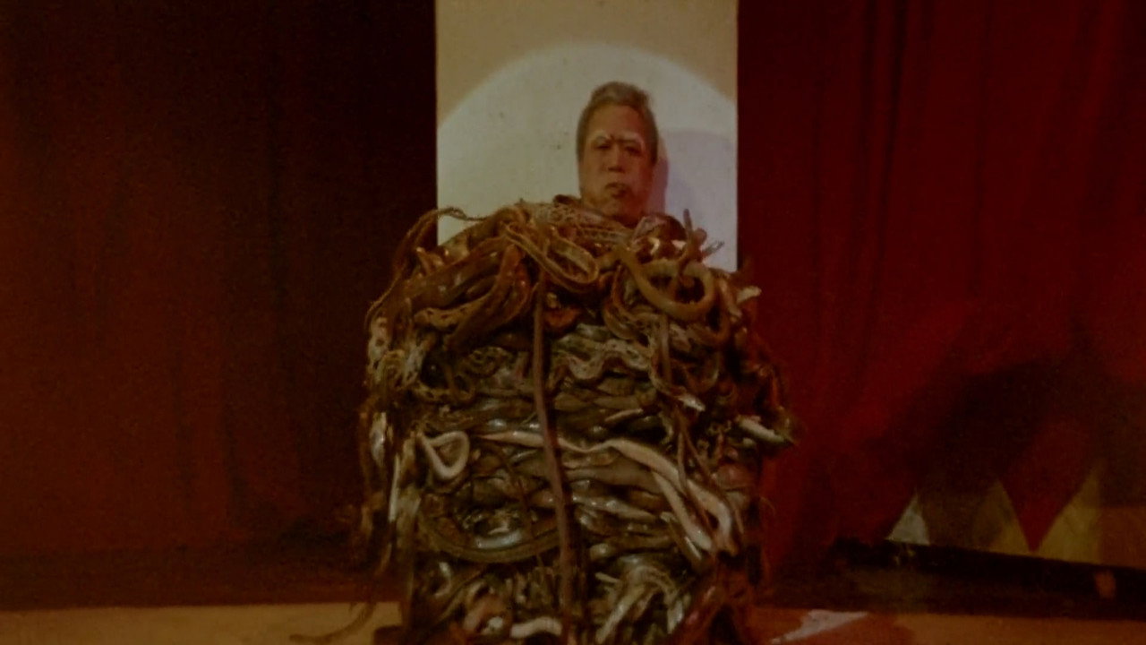 Calamity of Snakes (1982) movie backdrop