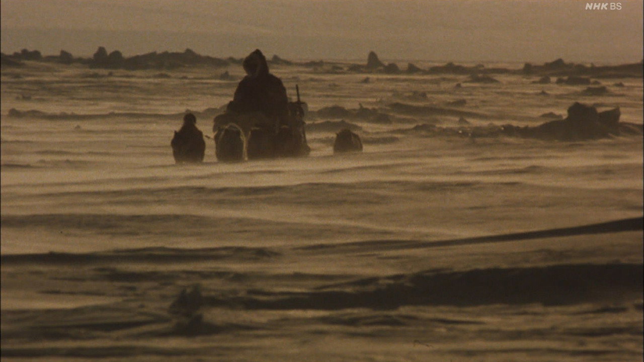 Lost in the Wilderness (1986) movie backdrop