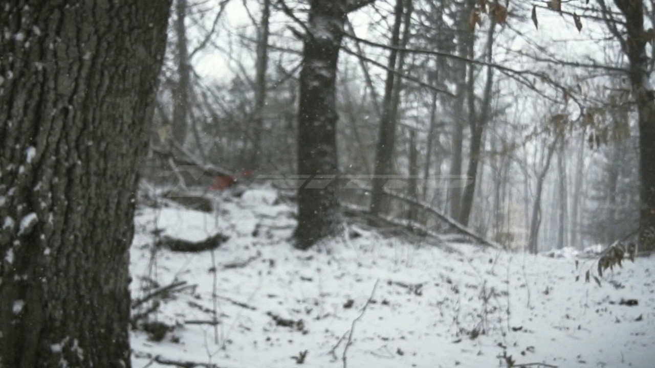 Element of Survival (2014) movie backdrop