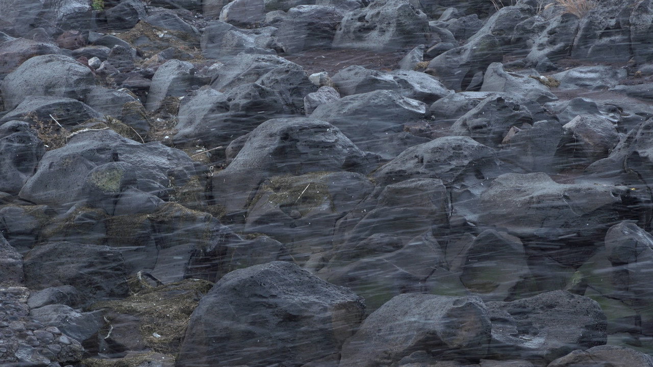 Until the Stones Speak (2024) movie backdrop