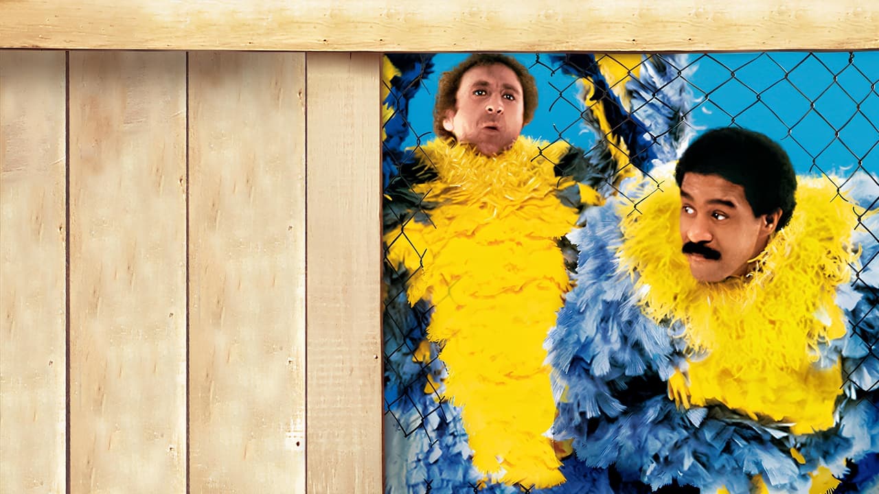Stir Crazy (1980) movie backdrop