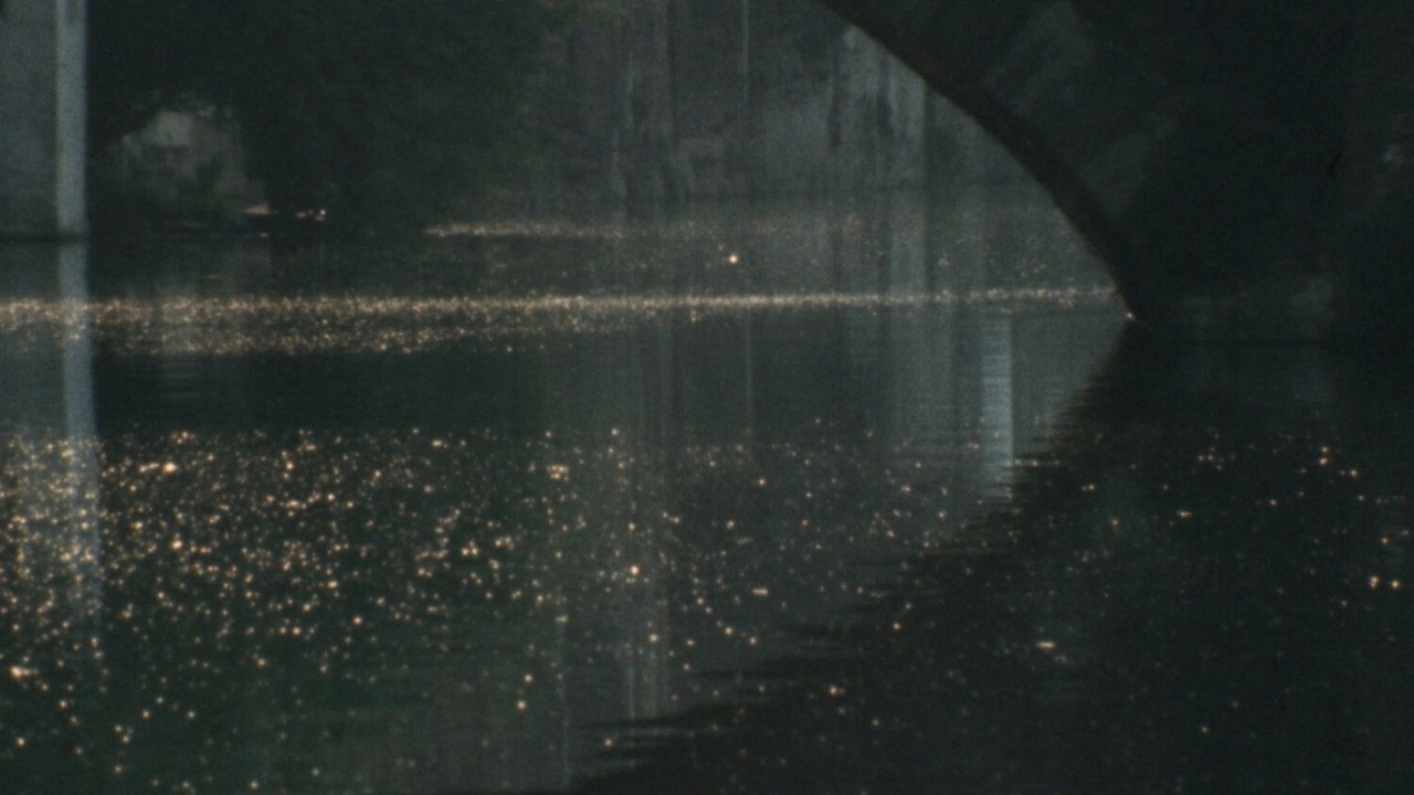 Bruges-La-Morte (1978) movie backdrop