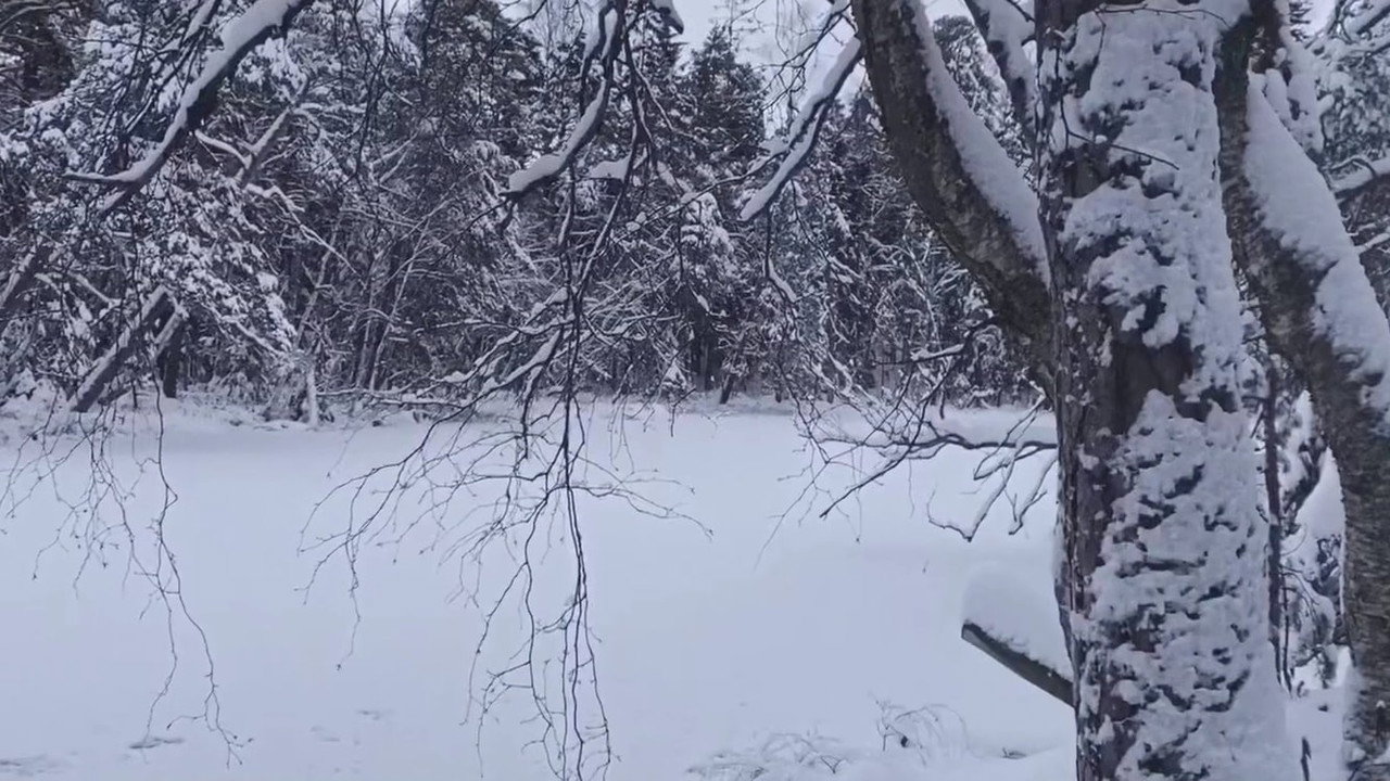 La Féerie Winter (2023) movie backdrop