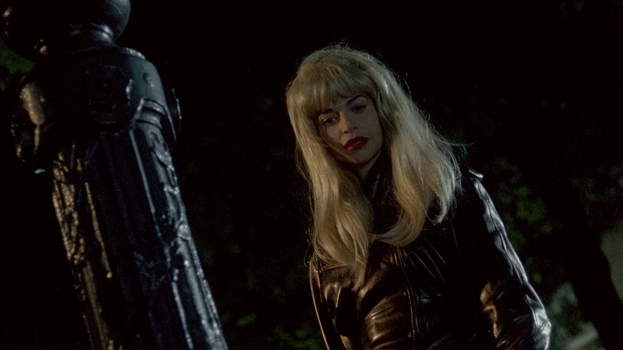 Three Lives and Only One Death (1996) movie backdrop