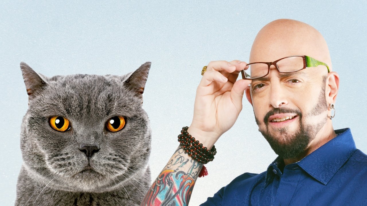 My Cat from Hell (2011) TV show backdrop