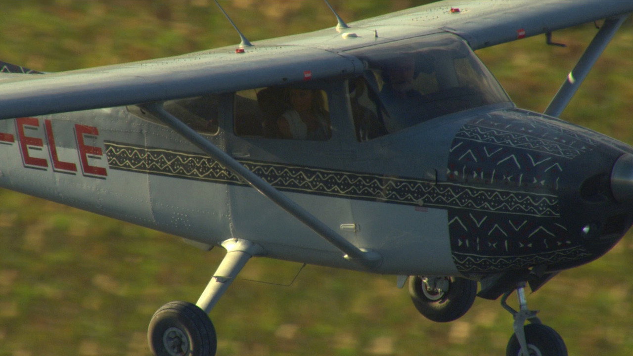 Big Cat Odyssey (2010) movie backdrop