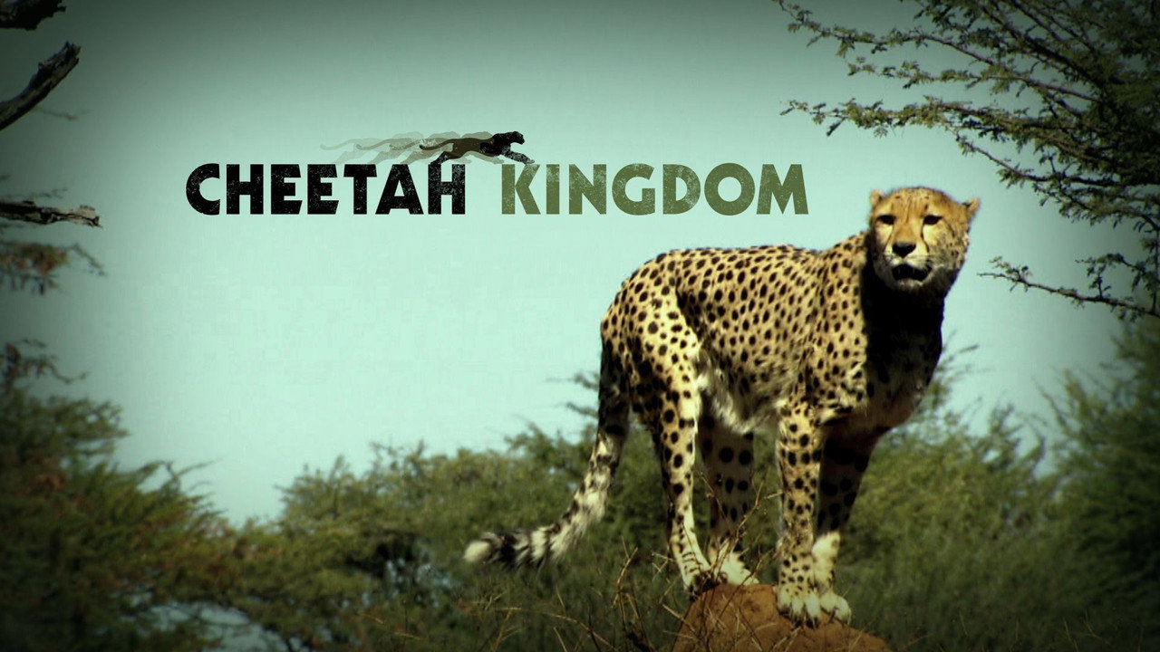 Cheetah Kingdom (2010) TV show backdrop