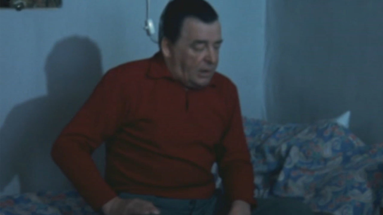 Olavi Virta (1972) movie backdrop
