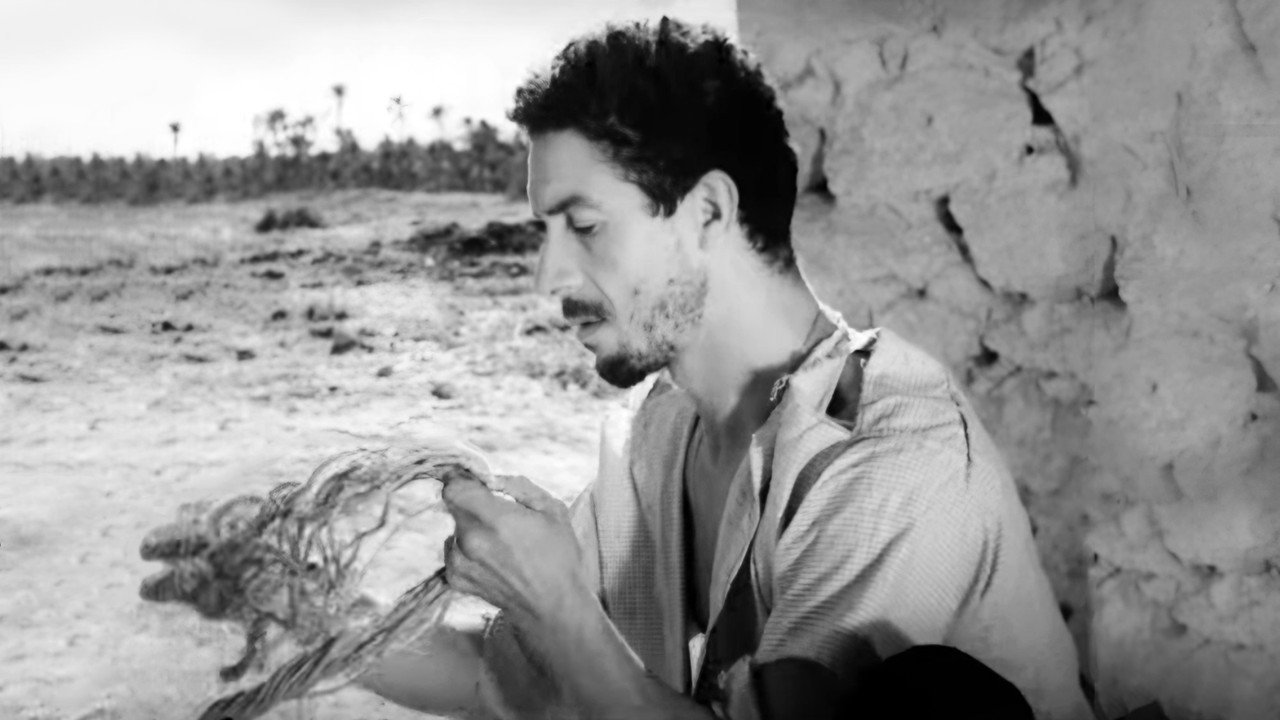 The Desert Divers (1952) movie backdrop
