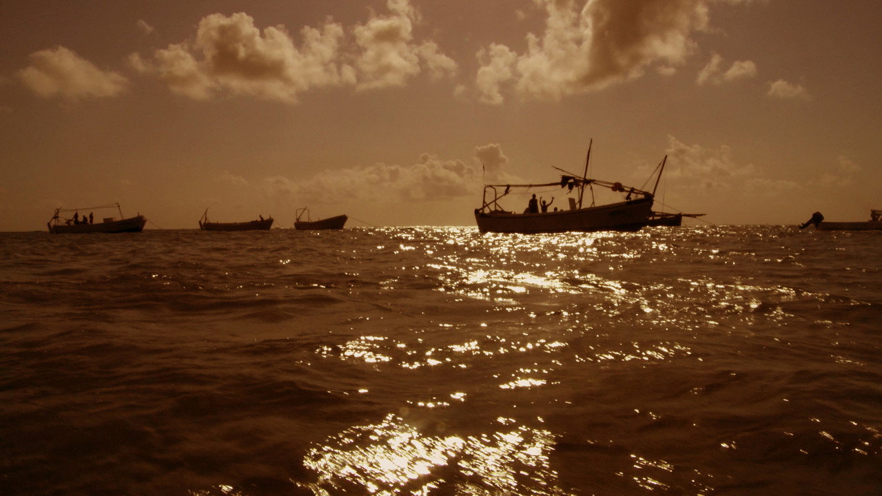 Pirating Pirates (2014) movie backdrop