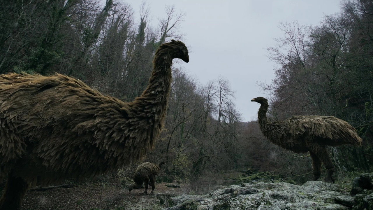 Mystery of the Giant Birds (2025) movie backdrop