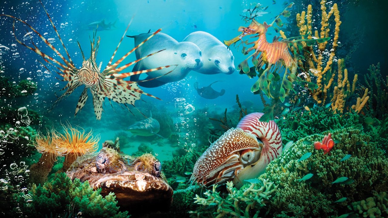 Under the Sea 3D (2009) movie backdrop