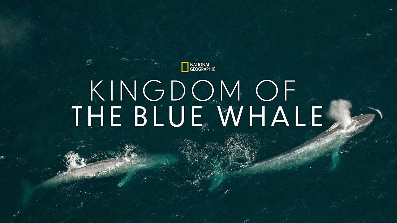 Kingdom of the Blue Whale (2009) movie backdrop