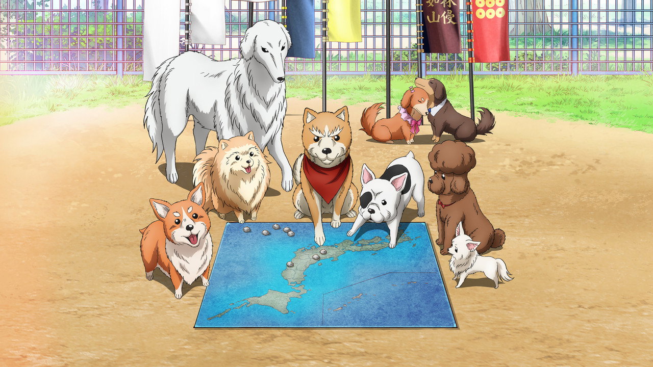 Oda Cinnamon Nobunaga (2020) TV show backdrop