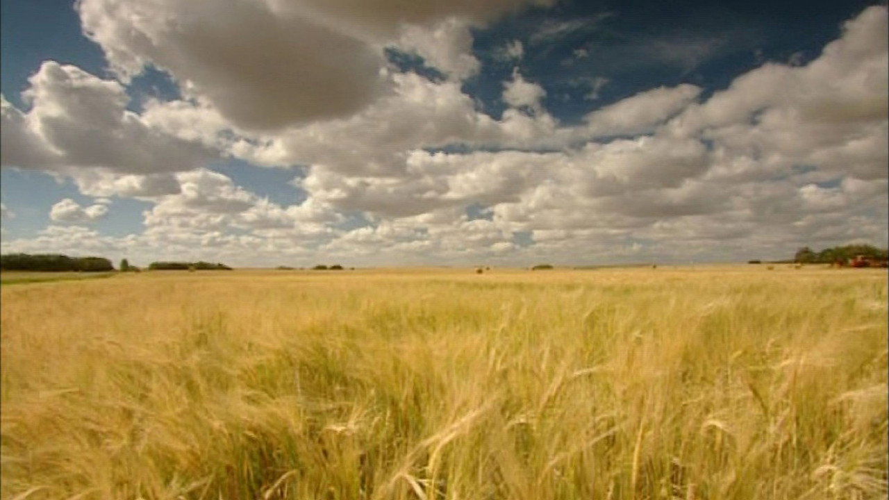 The Future of Food (2004) movie backdrop