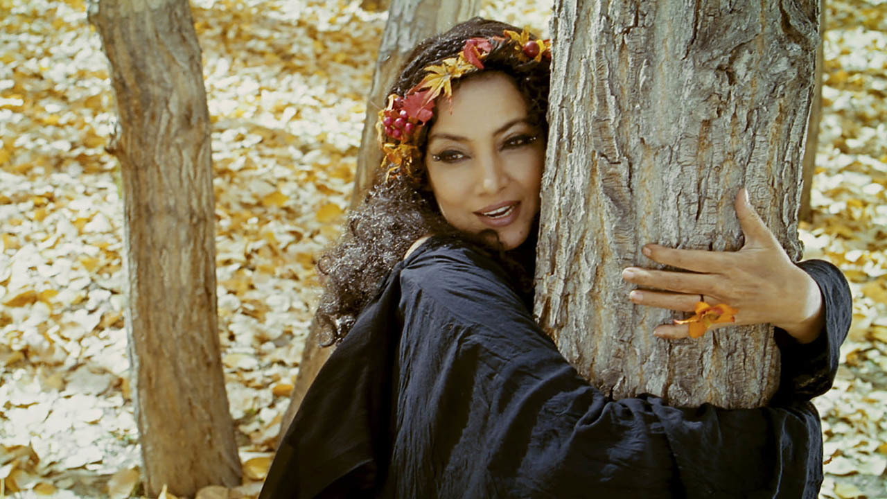 The Wishing Tree (2017) movie backdrop