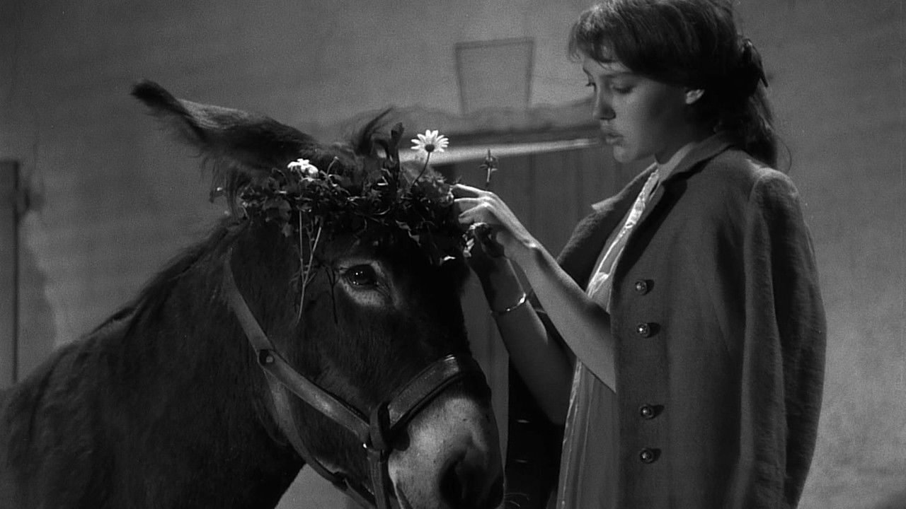 Au Hasard Balthazar (1966) movie backdrop