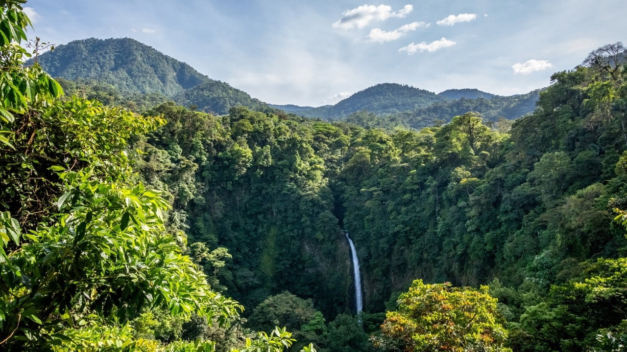 Living Landscapes: Costa Rica (2007) movie backdrop