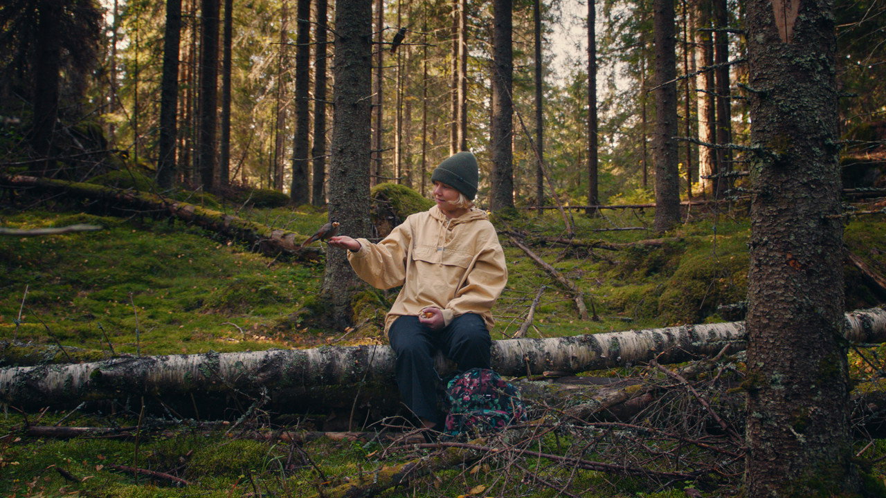Once Upon a Time in a Forest (2024) movie backdrop