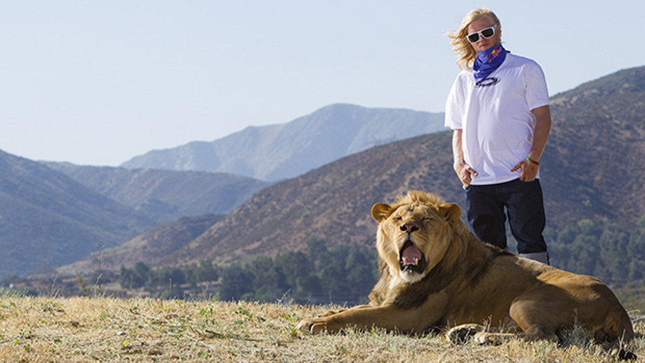 Like A Lion (2010) movie backdrop