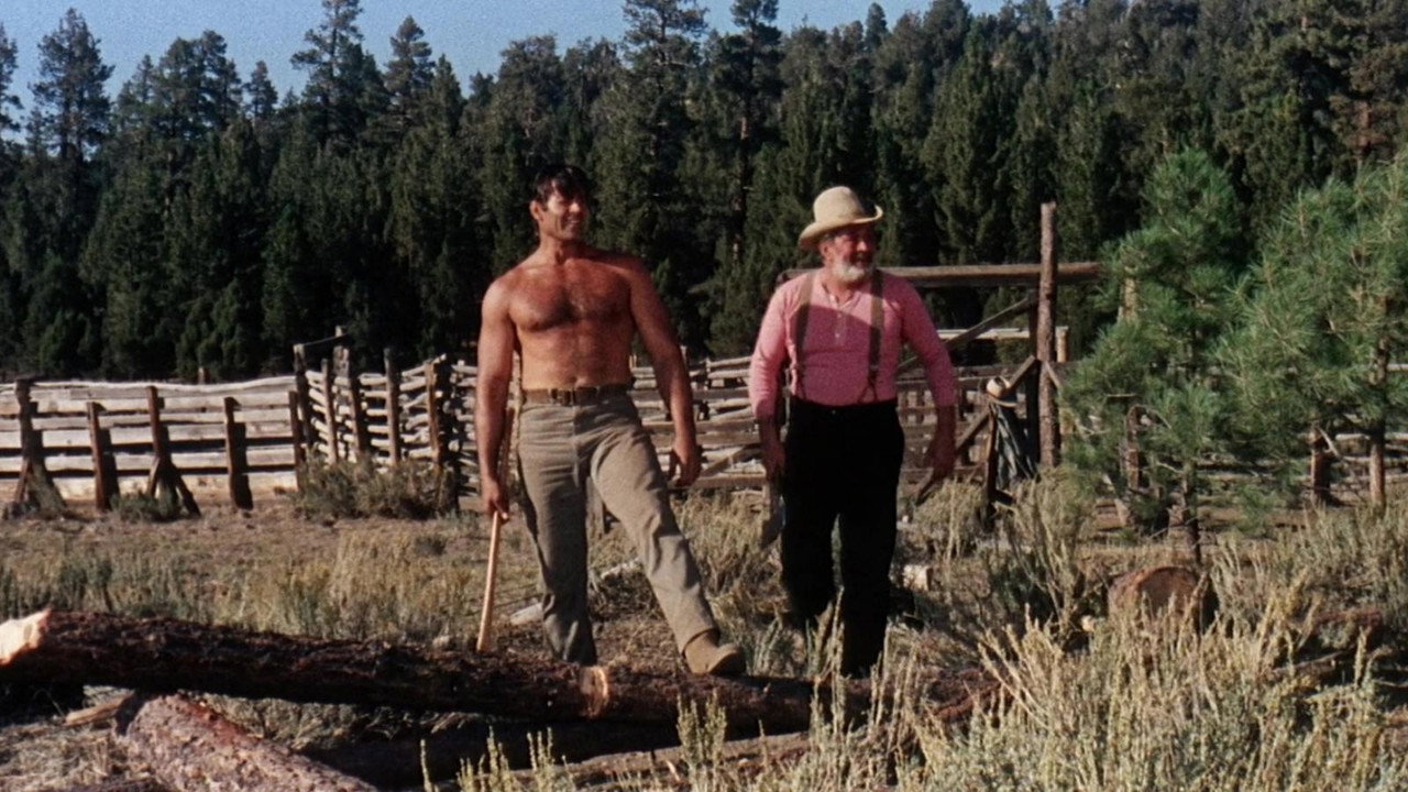 The Night of the Grizzly (1966) movie backdrop