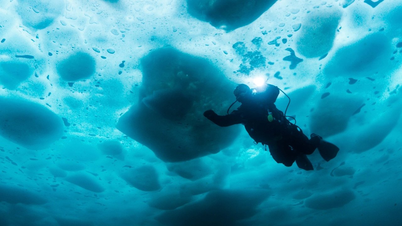 Bering Sea Gold: Under the Ice (2012) TV show backdrop