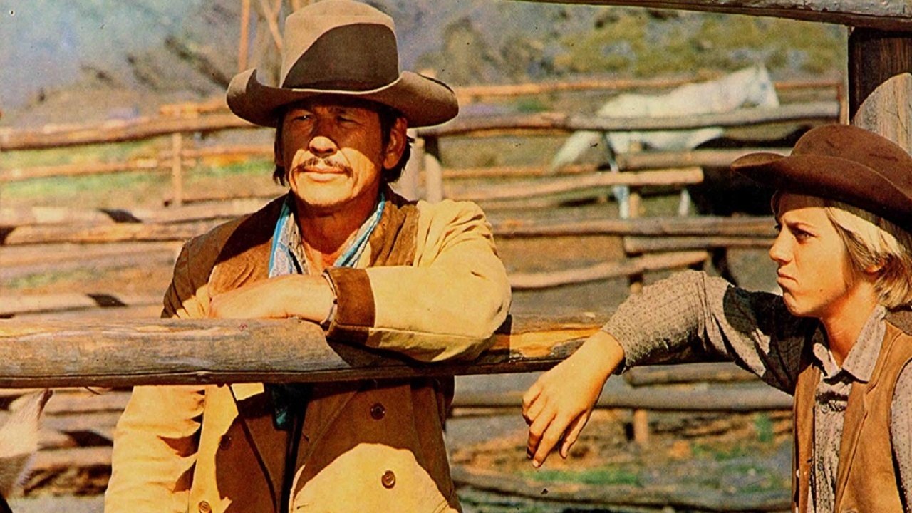 The Valdez Horses (1973) movie backdrop