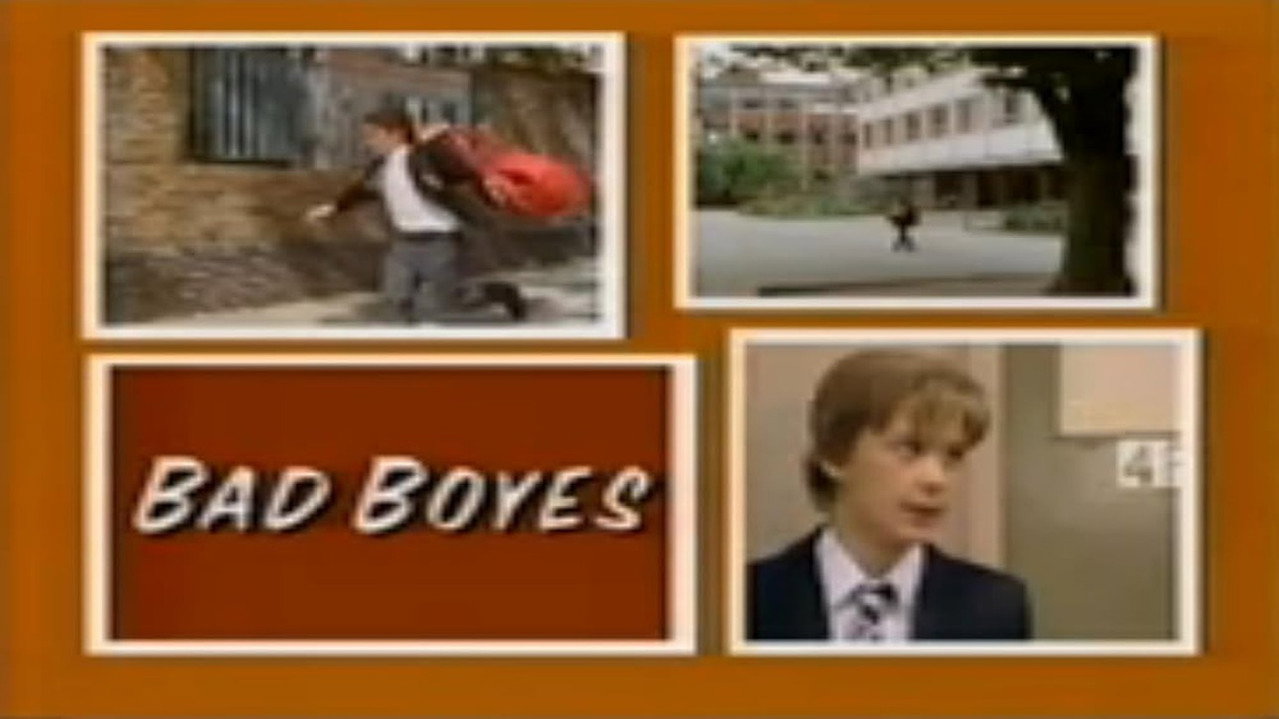 Bad Boyes (1987) TV show backdrop