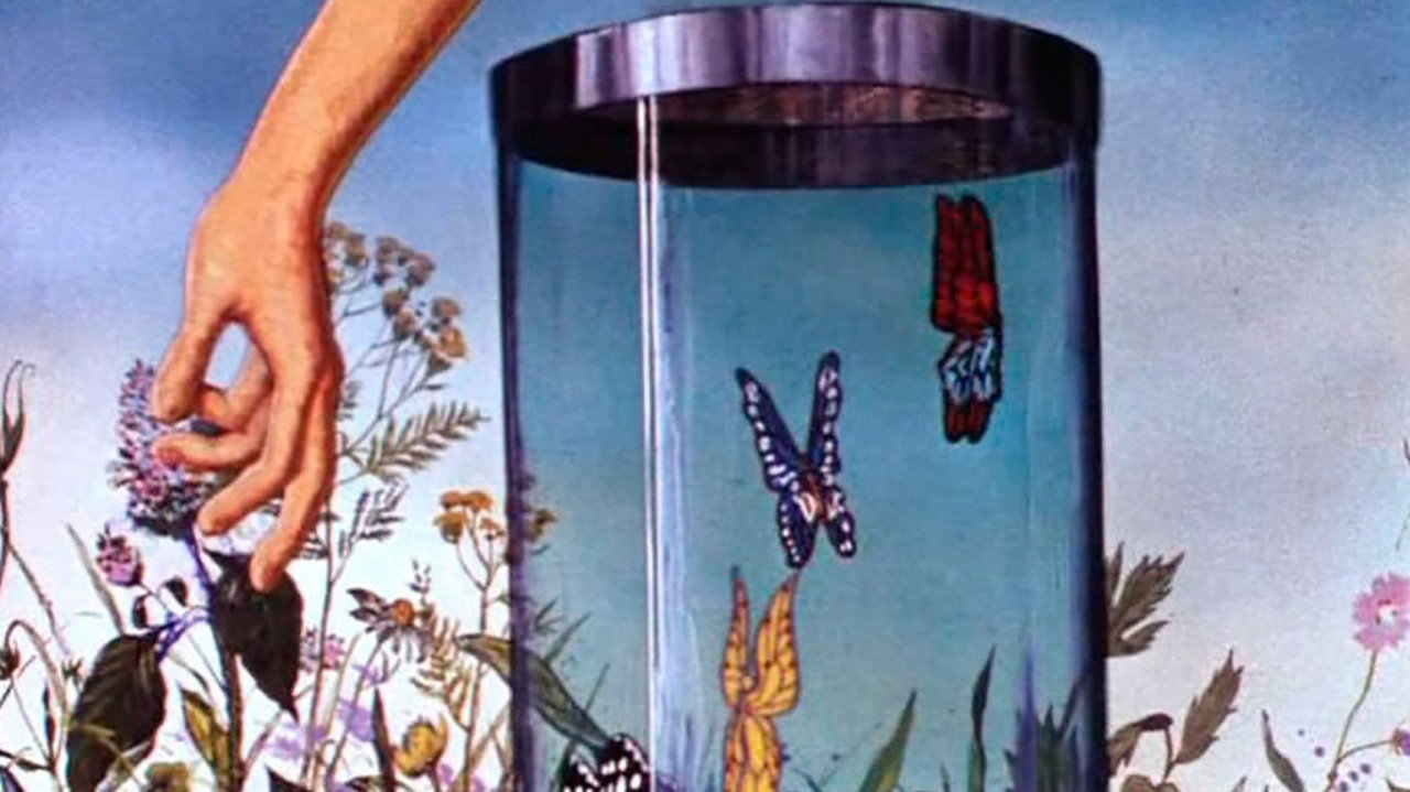 Butterfly (1972) movie backdrop