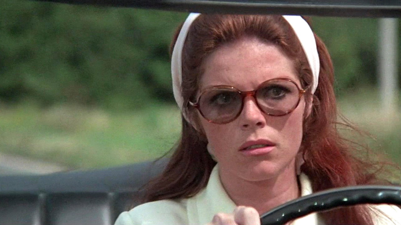 The Lady in the Car with Glasses and a Gun (1970) movie backdrop