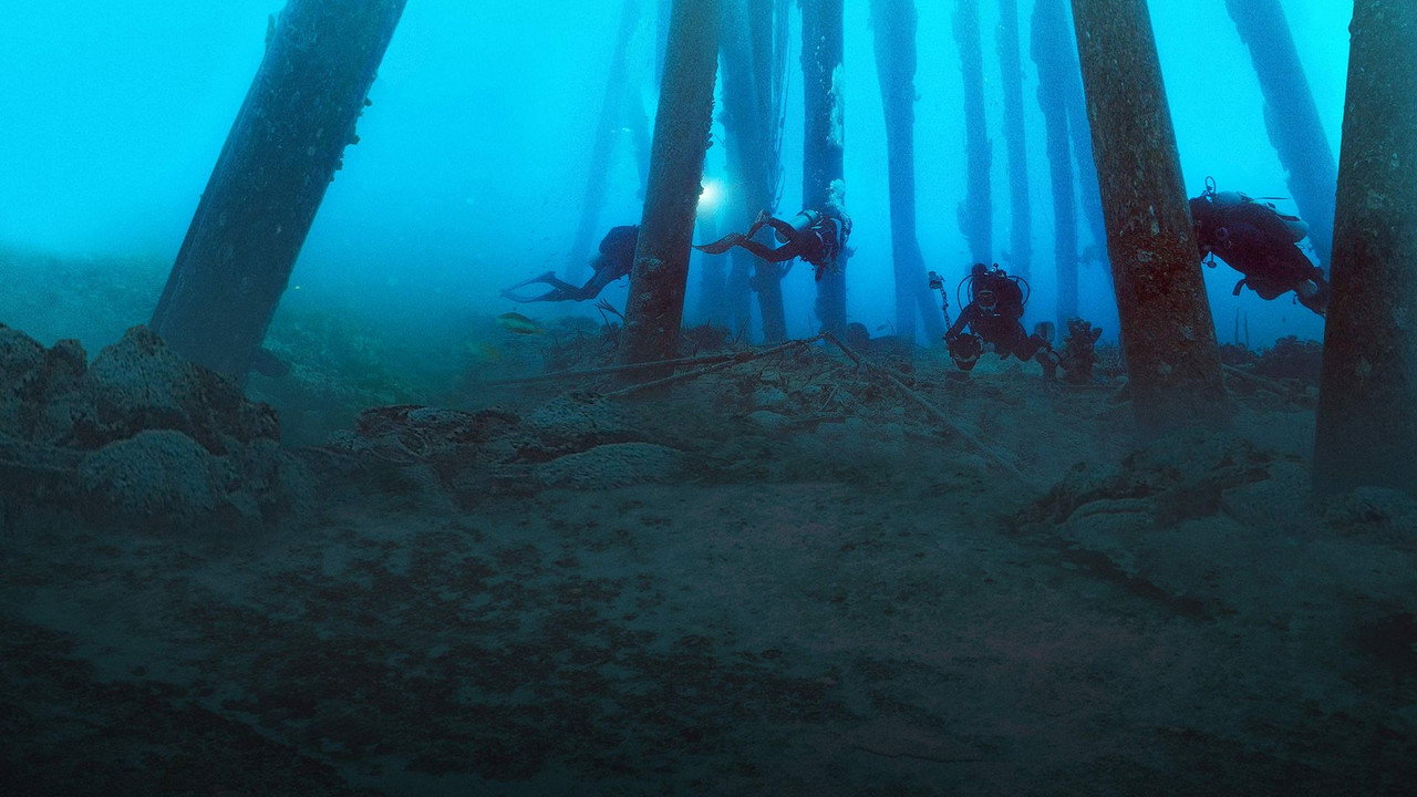Reef Wrecks (2016) TV show backdrop