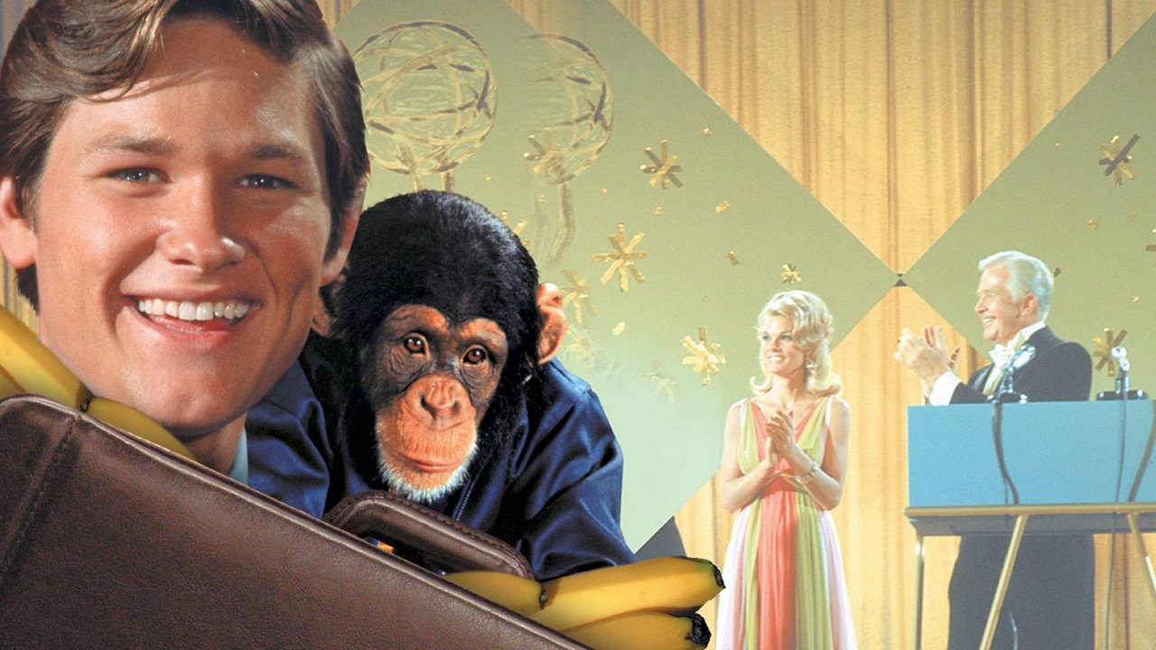 The Barefoot Executive (1971) movie backdrop