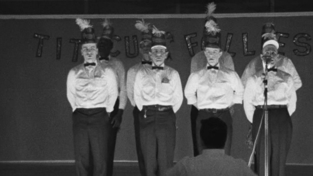 Titicut Follies (1967) movie backdrop