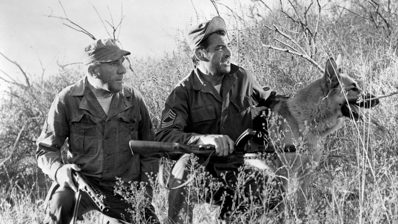 The Young and the Brave (1963) movie backdrop