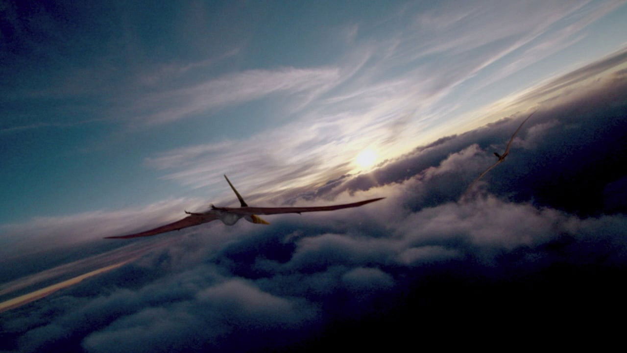 Flying Monsters 3D with David Attenborough (2011) movie backdrop
