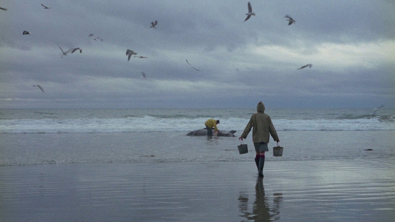 Ring of Bright Water (1969) movie backdrop