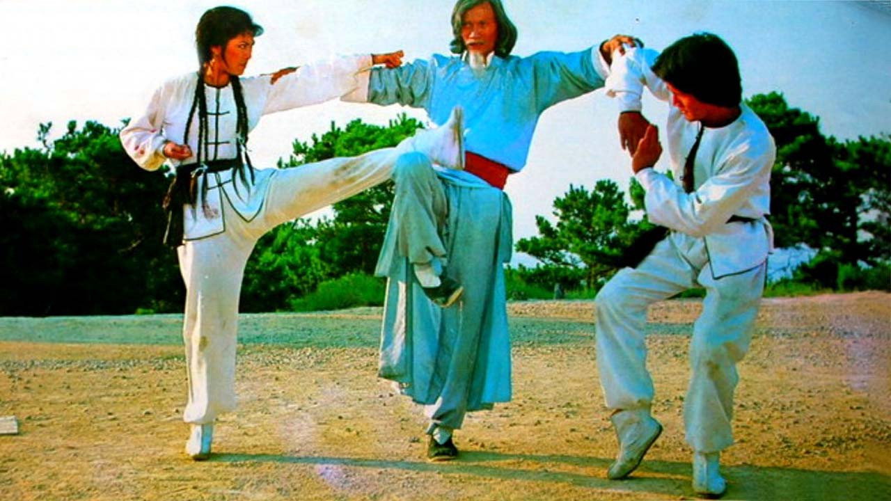 Twins of Kung Fu (1981) movie backdrop