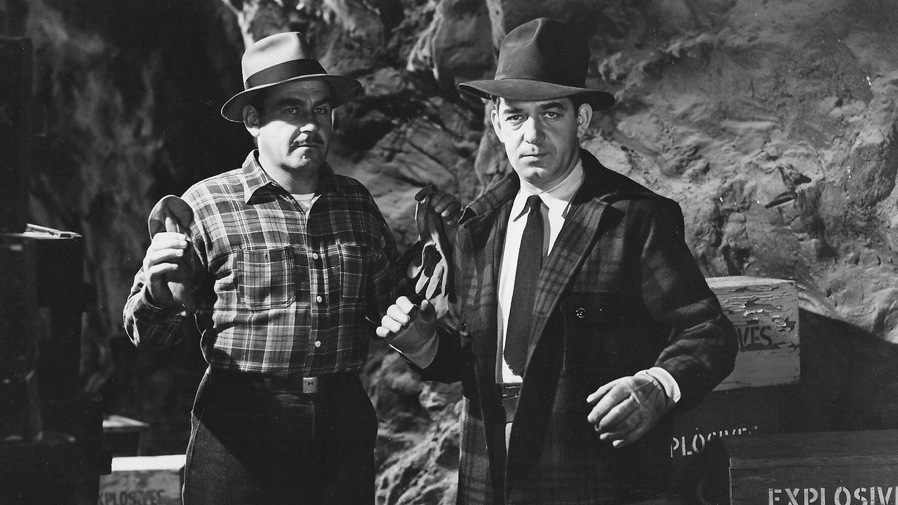 Dangers of the Canadian Mounted (1948) movie backdrop