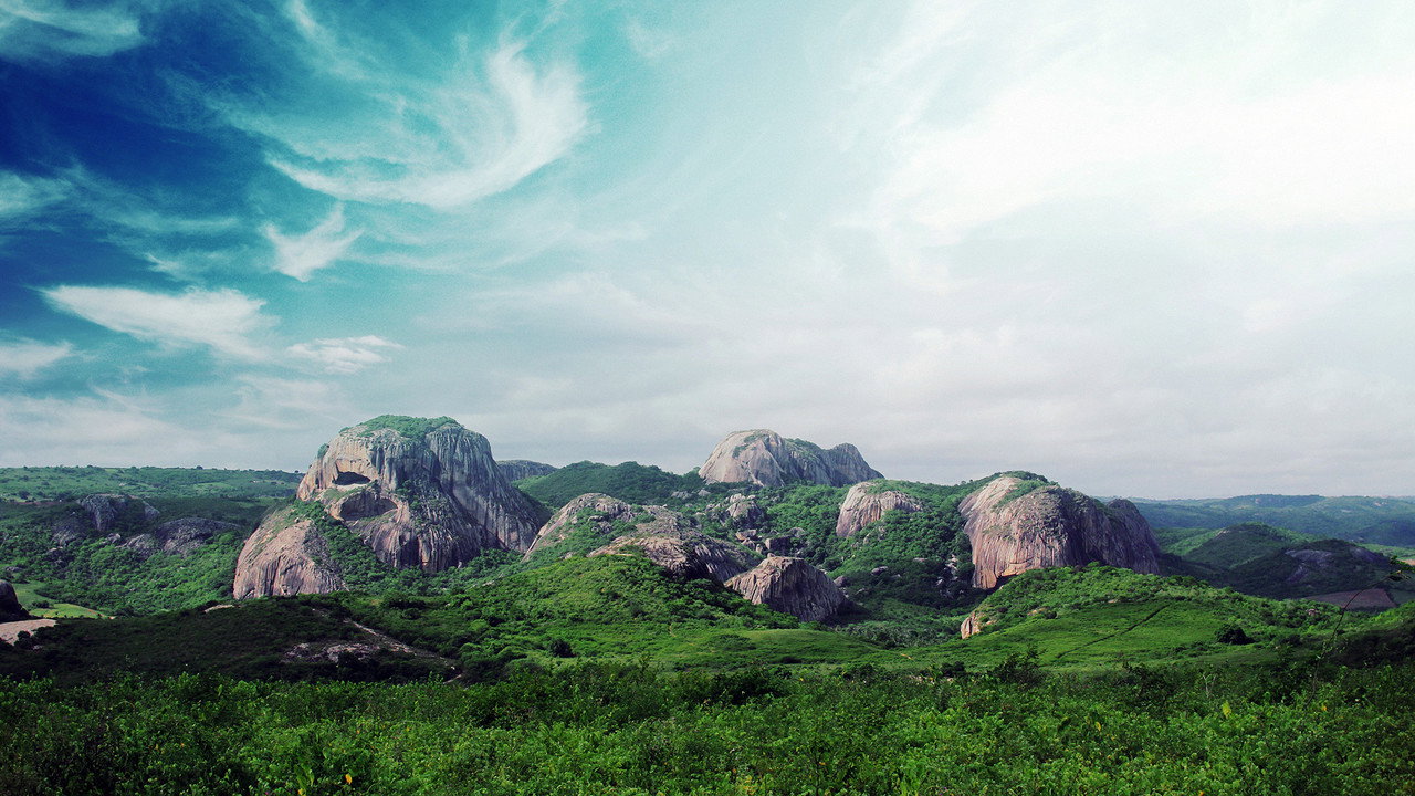 Wild Brazil (2014) movie backdrop