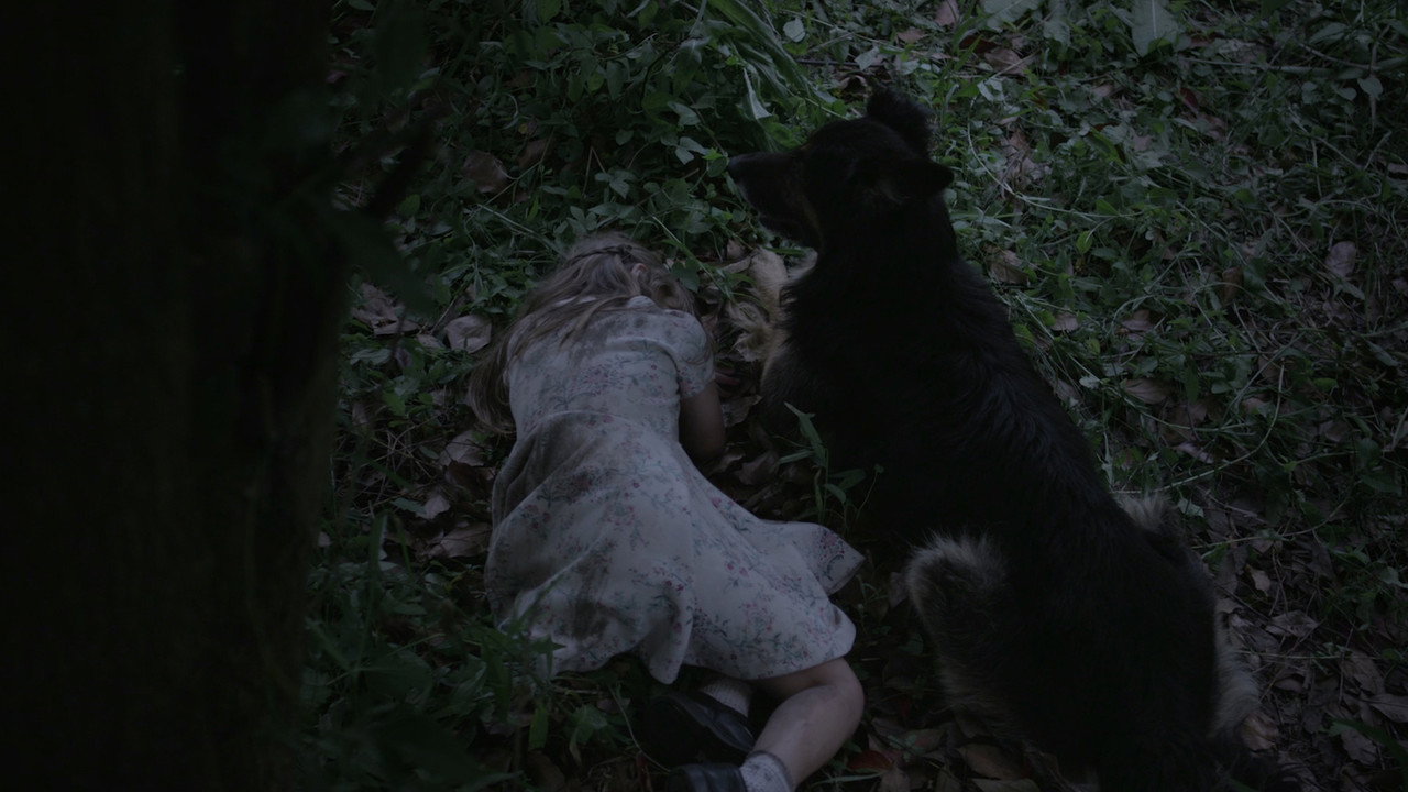 Weep the Headless Madness of these Fields (2019) movie backdrop