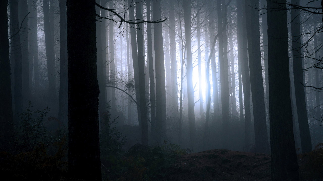Finding Bigfoot (2011) TV show backdrop