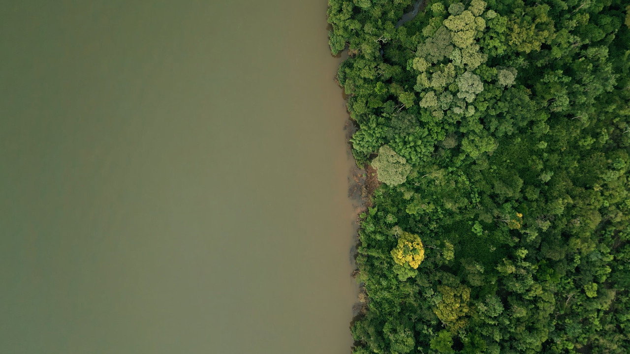 DAMS AMONG US (2024) movie backdrop